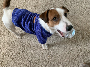 Eye-Catching Warm Sweater For Puppies & Small Dogs