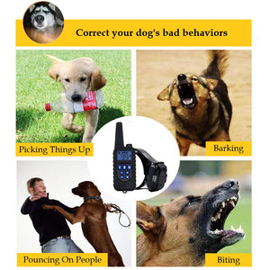Extended Range Waterproof Remote Control Dog Training Collar with LED Light & Nylon Collar Strap