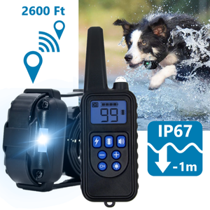 Extended Range Waterproof Remote Control Dog Training Collar with LED Light